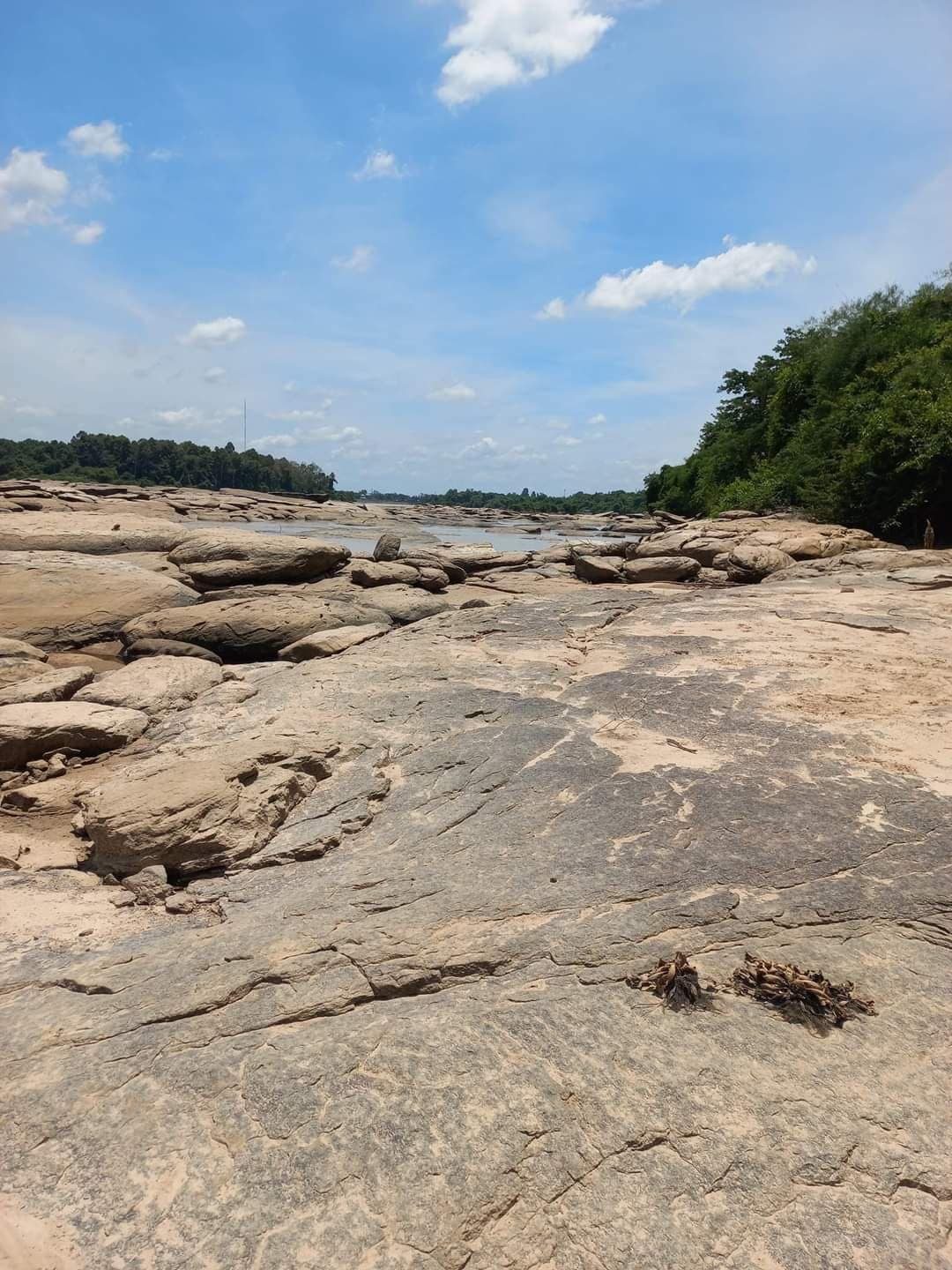 A rocky landscape with a river in the distance and dense greenery on the sides.