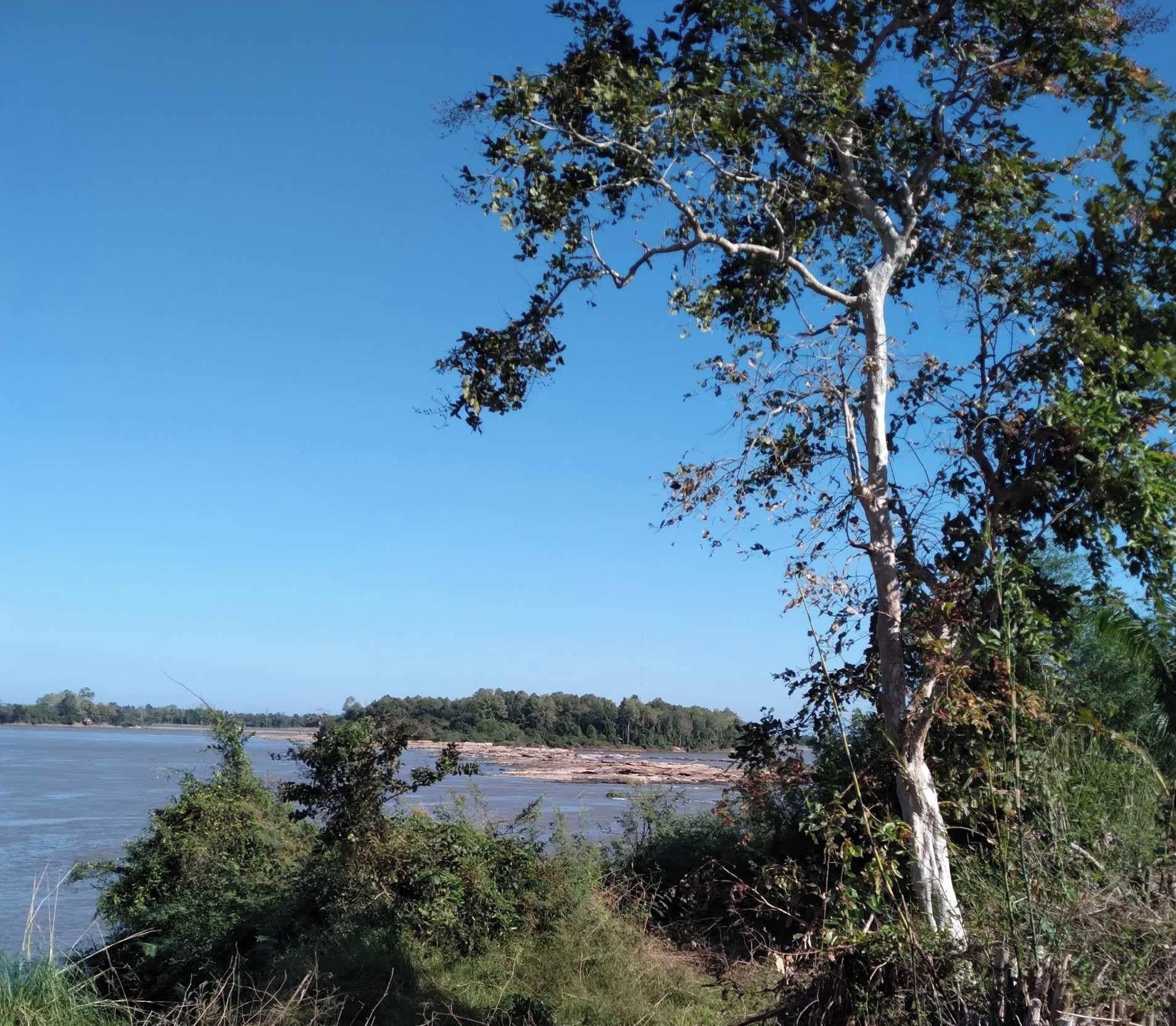 A natural landscape with a tree in the foreground and a body of water in the background.