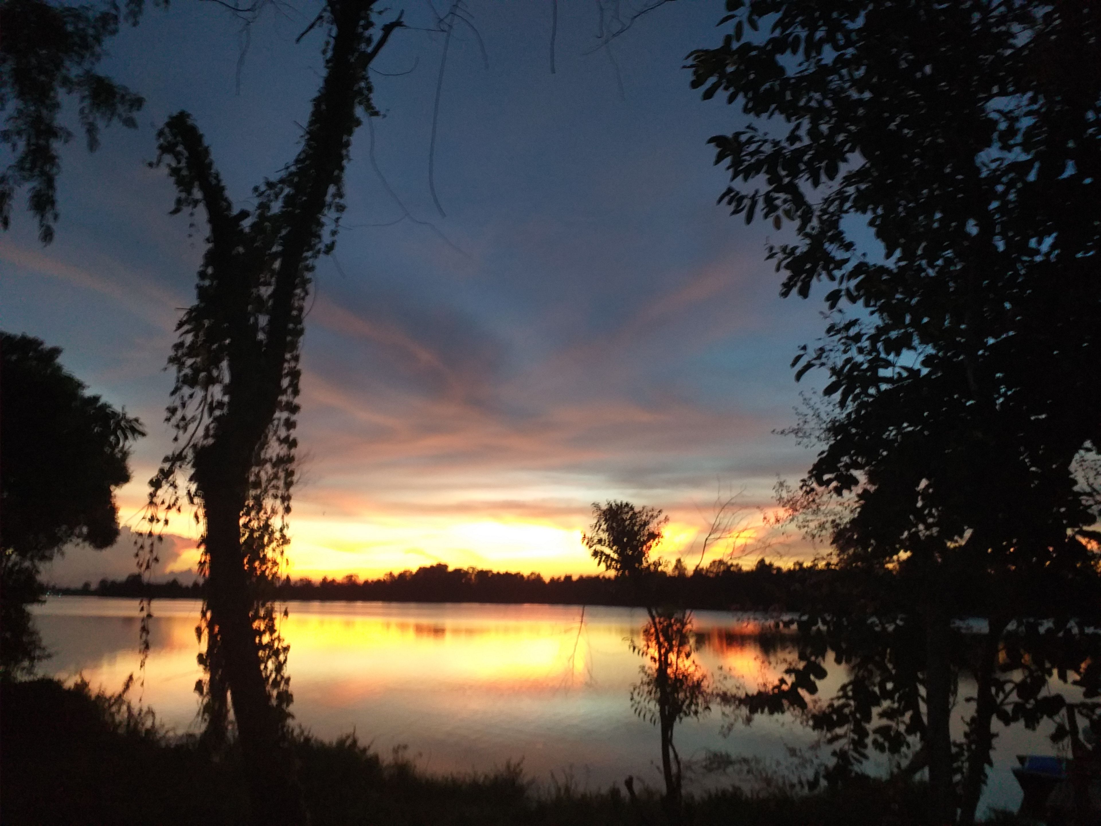 Un lago tranquilo al atardecer, con árboles enmarcando la vista.