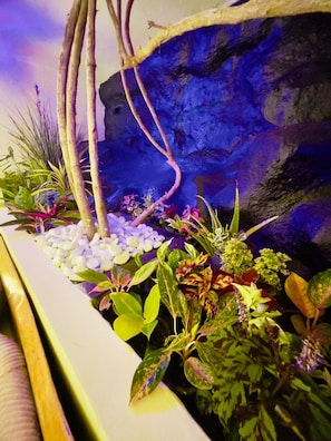 Un jardon contenant diverses plantes, avec un mur de pierres en arrière-plan.