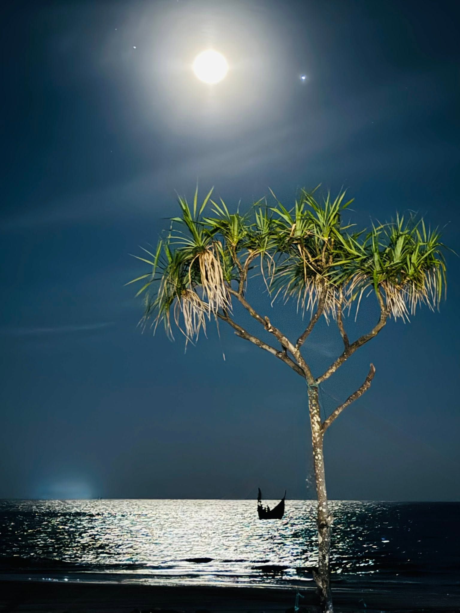 Ein Baum mit einem Boot im Wasser bei Nacht.