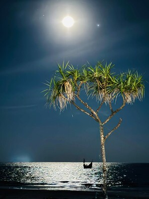 A tree with a boat in the water at night.
