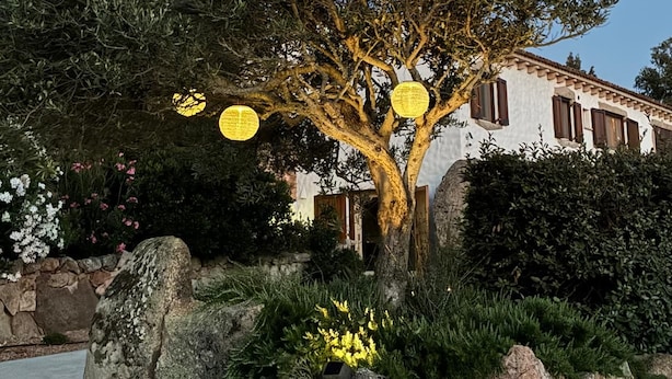 Un árbol con faroles amarillos, un muro de piedra y un edificio con ventanas.