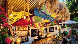 Reception - The Green Gecko (Coron)
