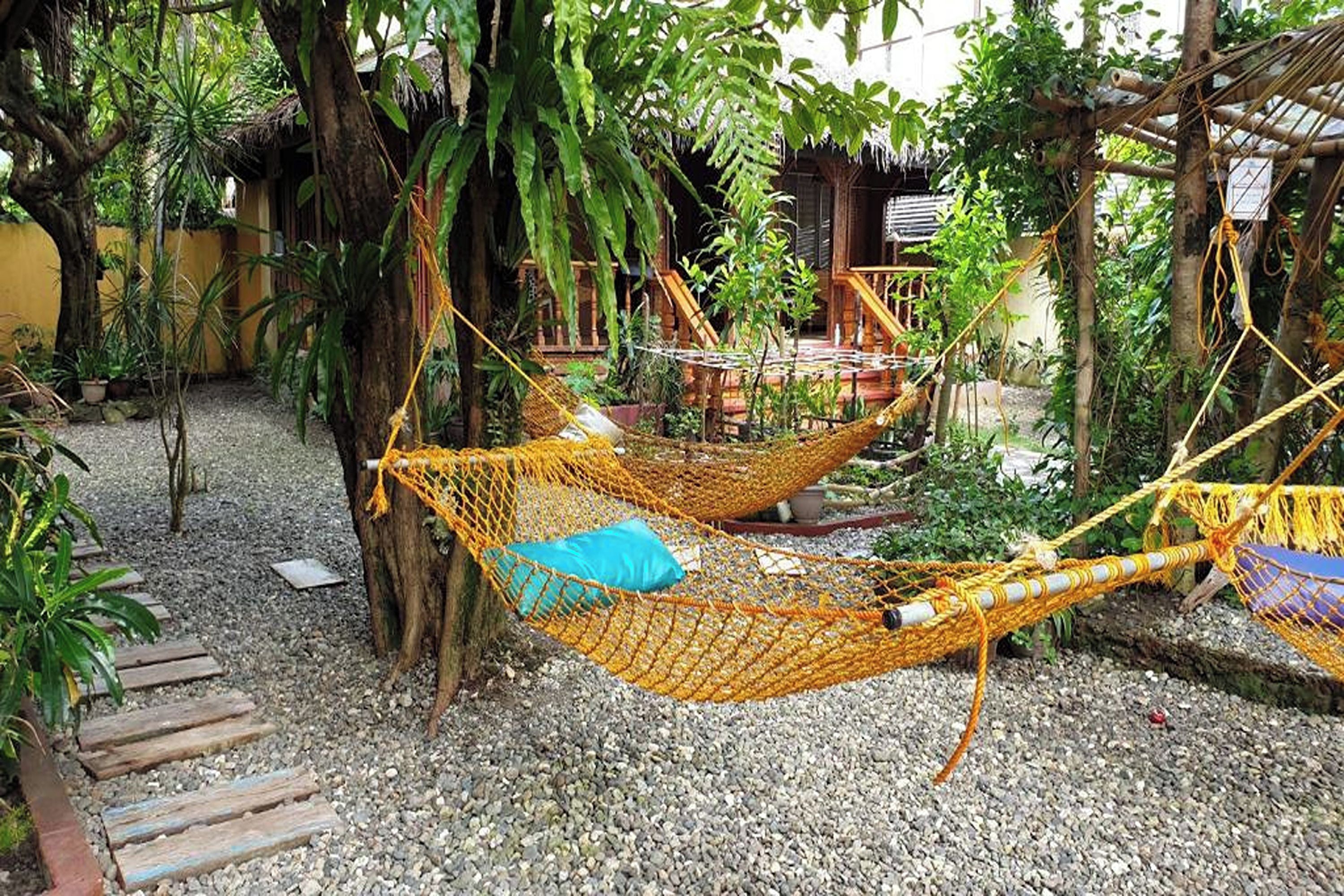 A hammock set up between trees in a garden with a thatched-roof structure in the background.