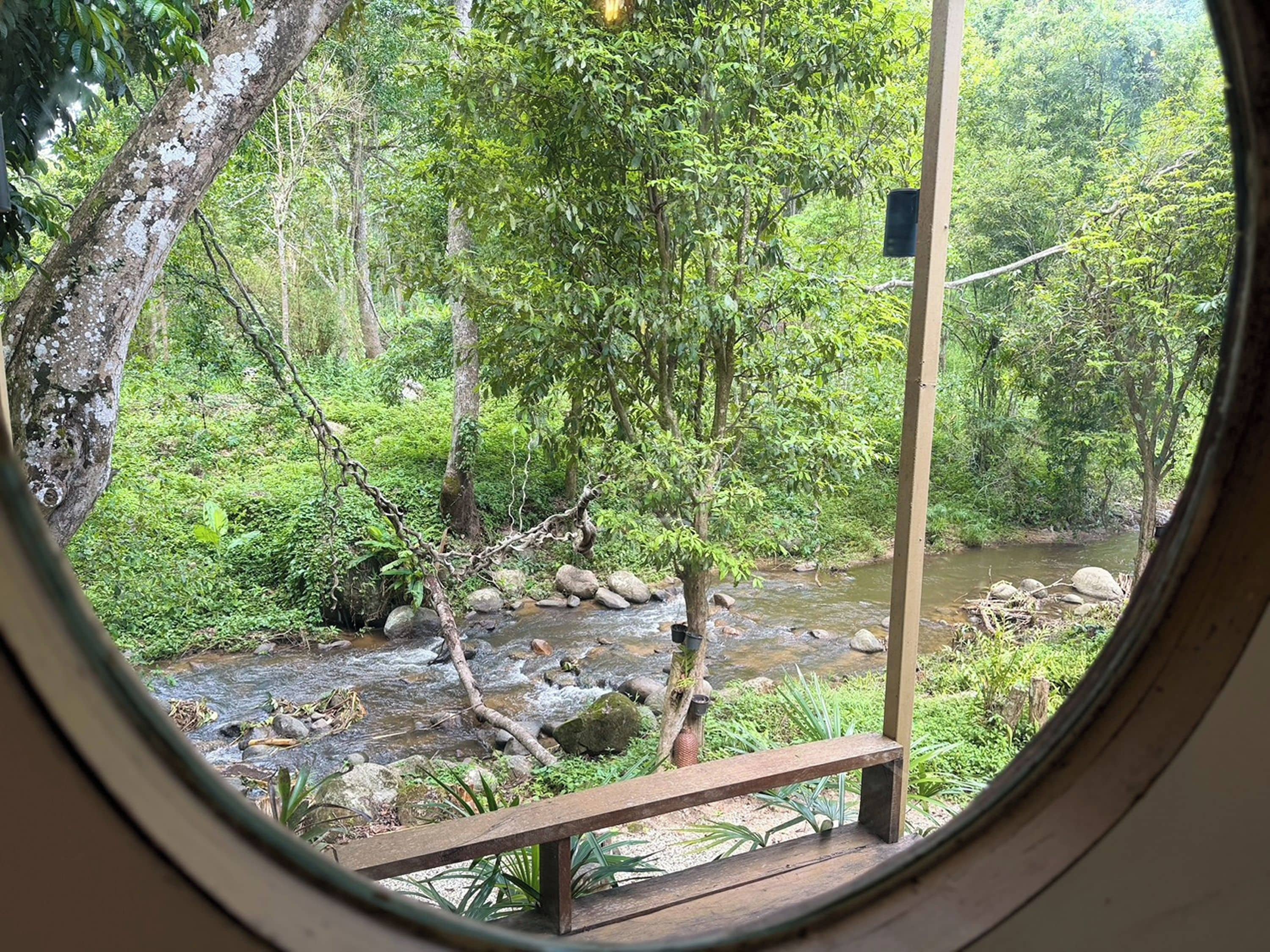 A view through a window of a forested area with a stream, rocks, and a wooden bench.