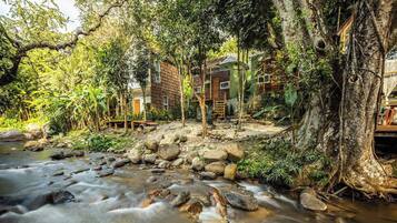 A river flowing through a forested area with a wooden structure built into the trees.