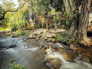 A river flowing through a forested area with a wooden structure built into the trees. - The Forrest Peace Forest (Mae Kampong) (Chiang Mai)