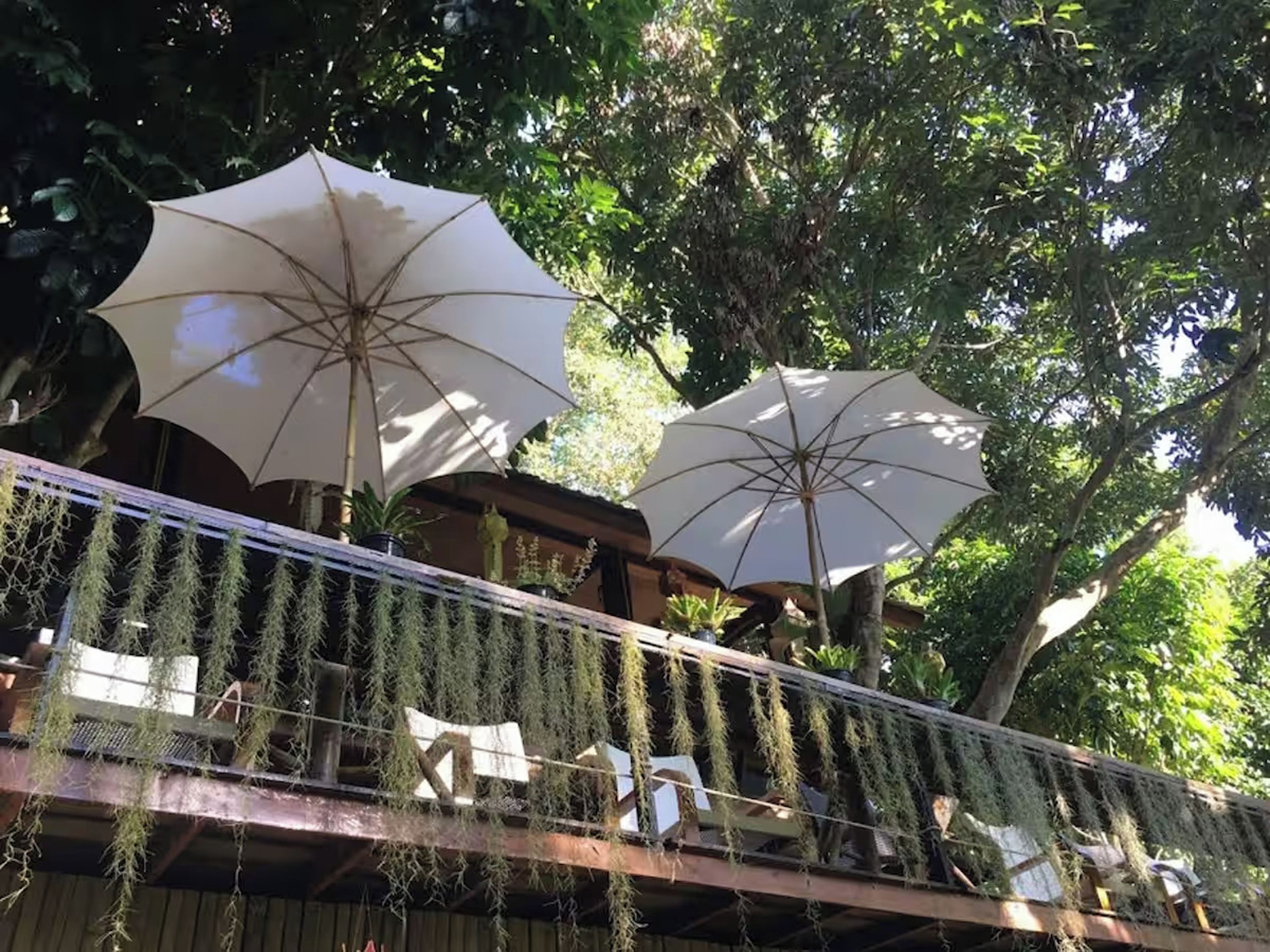 A balcony with hanging plants and two large umbrellas providing shade.