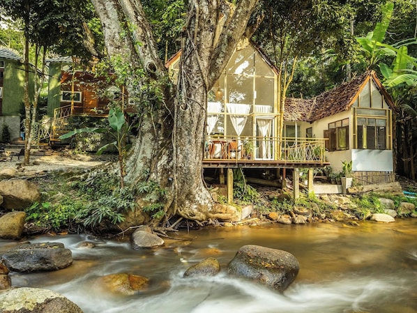 A treehouse with a glass enclosure, surrounded by a natural setting with a stream and rocks. - The Forrest Peace Forest (Mae Kampong) (Chiang Mai)