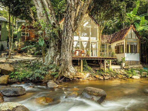 The Forrest Peace Forest (Mae Kampong)