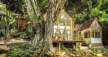 The Forrest Peace Forest (Mae Kampong)