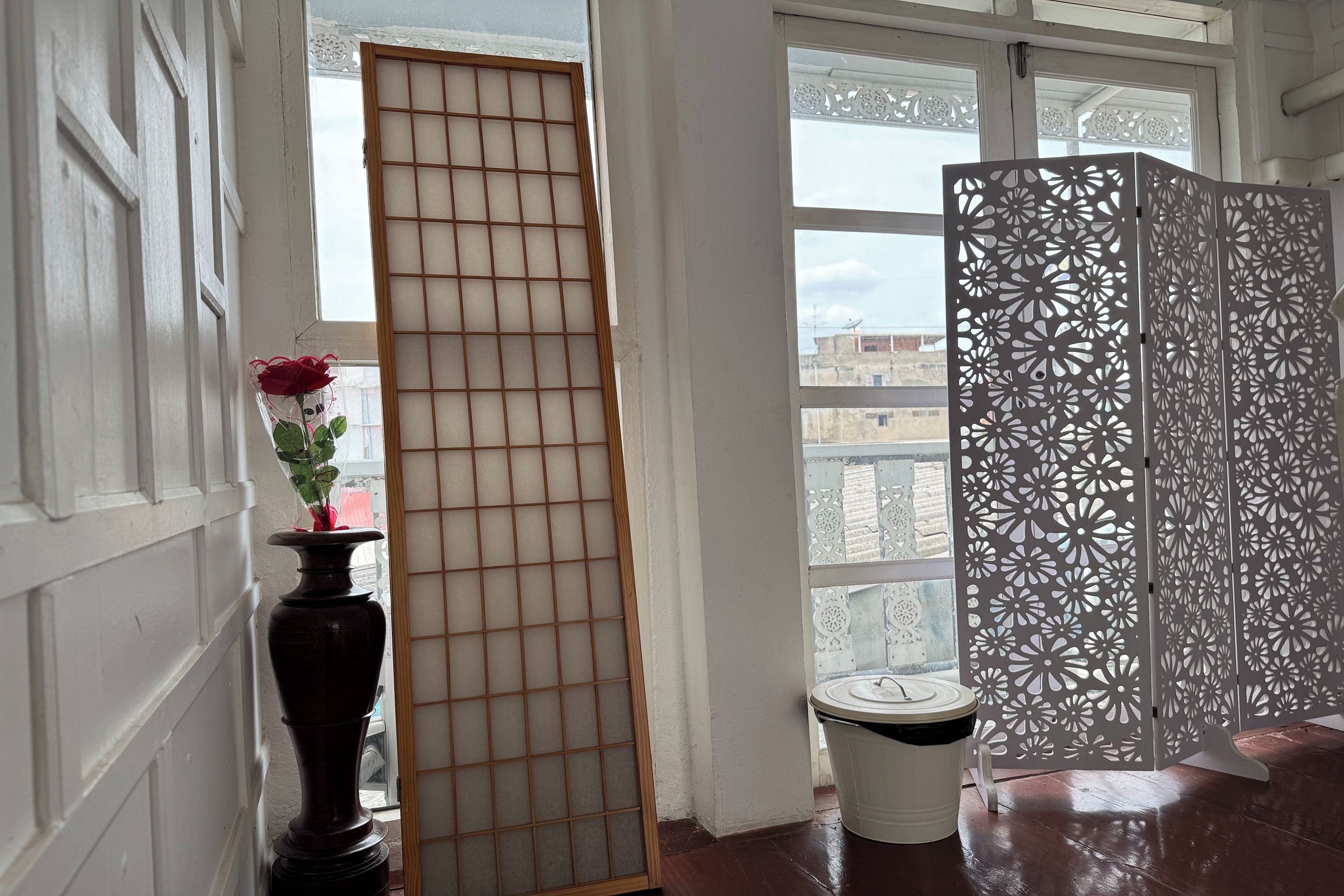 A room with a traditional sliding door, a potted plant, and a trash bin.
