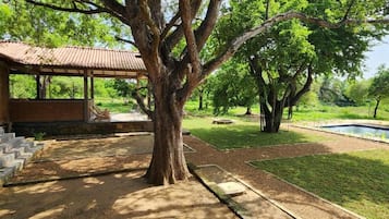 A covered outdoor area with a tree, a bench, and a swimming pool.