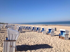 A beach with rows of white beach chairs and umbrellas. - Holiday Apartment in Westerland With Sauna (Sylt)