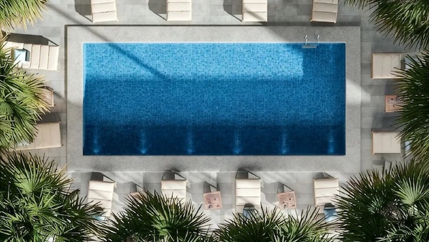 Une piscine rectangulaire bordée de carreaux, entourée de palmiers et d’une série de chaises longues blanches.