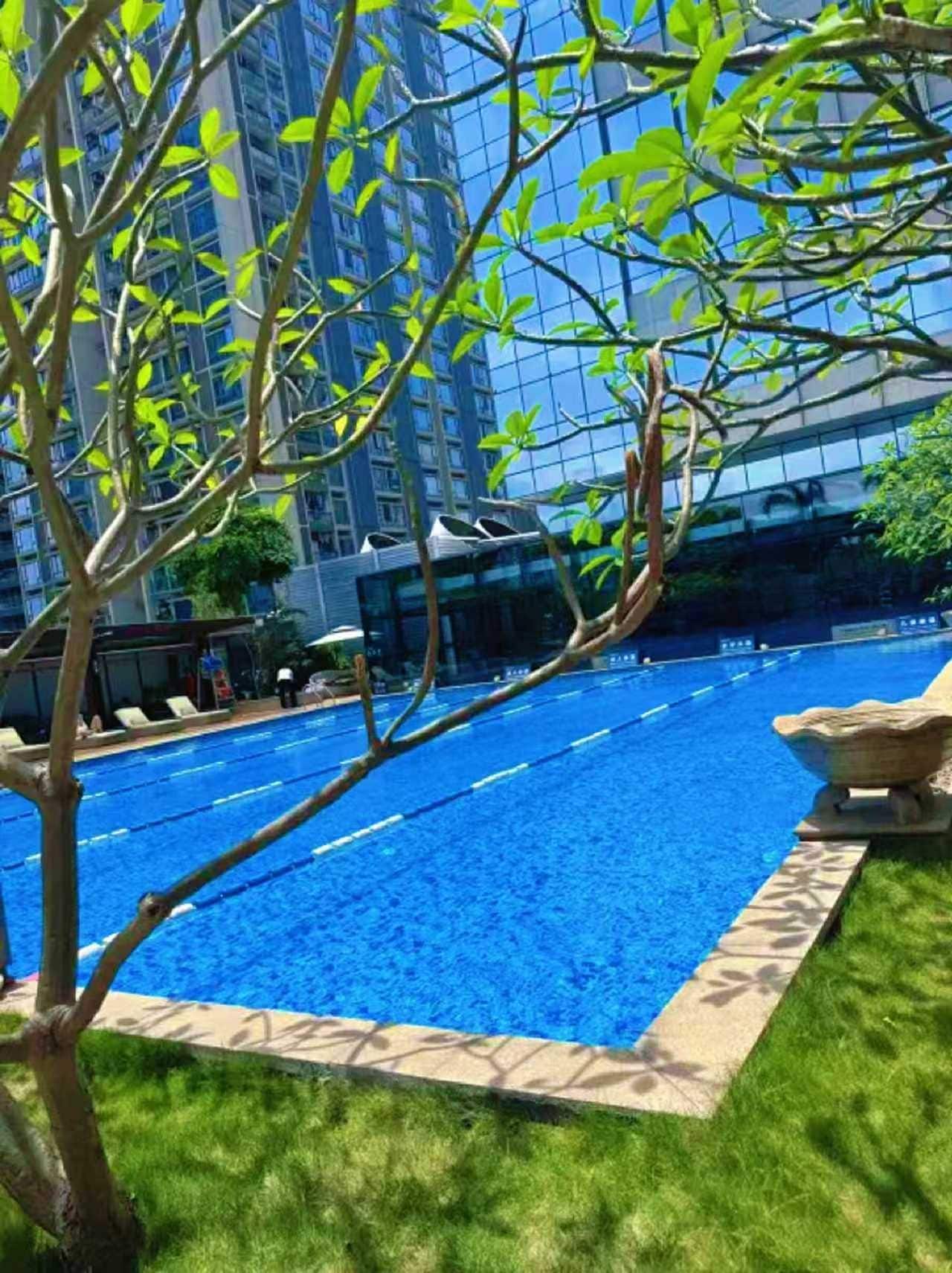 Una piscina con agua cristalina azul, rodeada de césped y árboles.