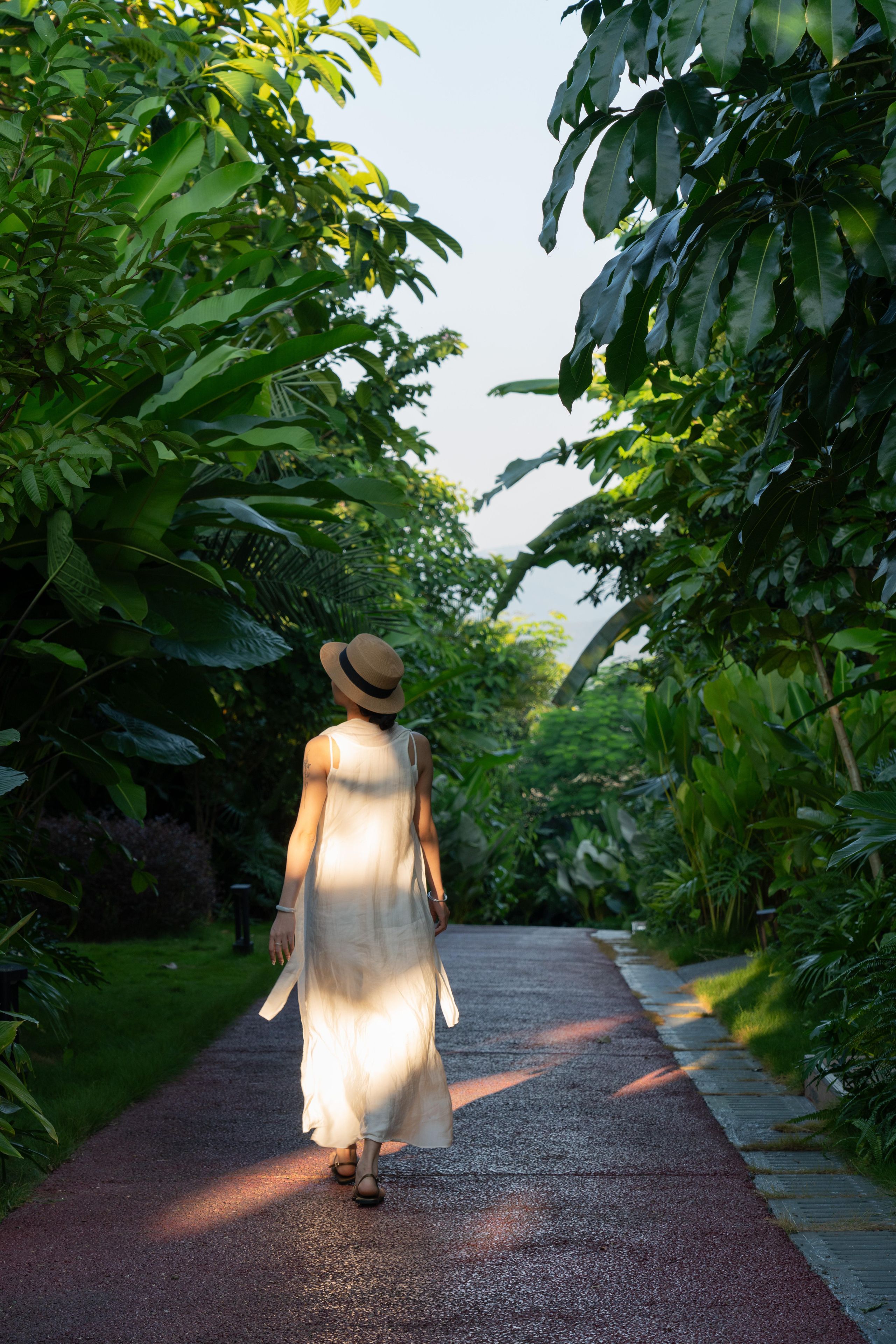 A pathway flanked by lush greenery, leading into a forested area.