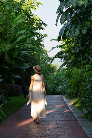 A pathway flanked by lush greenery, leading into a forested area. - XiyeSeclusionResortHotel (Xishuangbanna Dai)