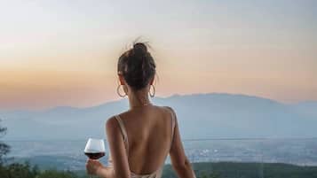 A person seated at a table with a view of a landscape.