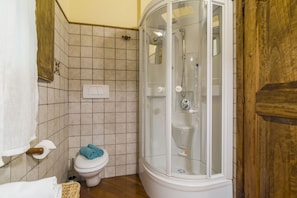 Een badkamer met toilet, douchecabine en een houten deur.