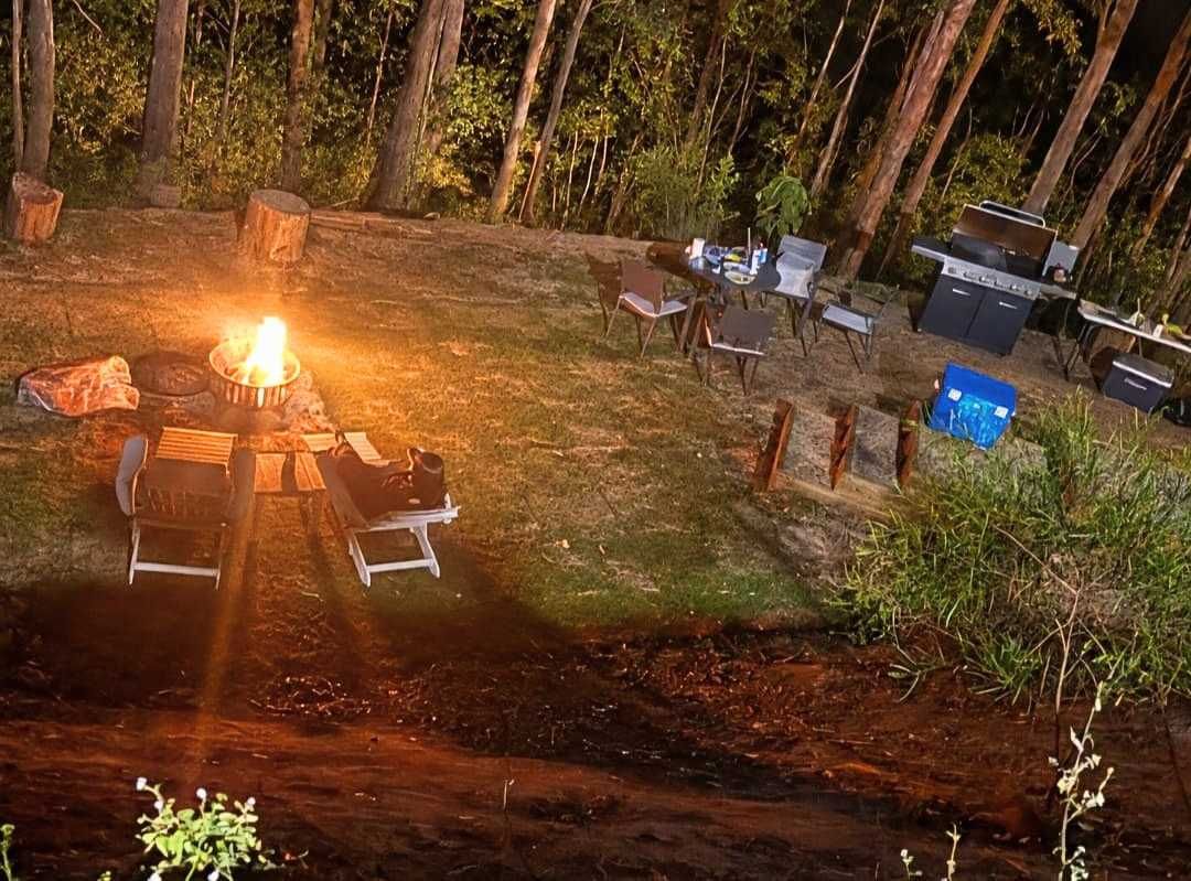 Et udendørs campingområde med bålplads, siddepladser og grill.