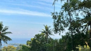 Khu ẩm thực ngoài trời
