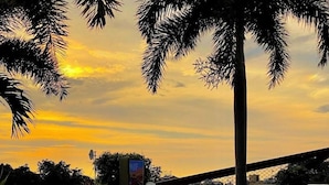 Un área de estar al aire libre con mesas y sillas, rodeada de palmeras, bajo un cielo al atardecer.