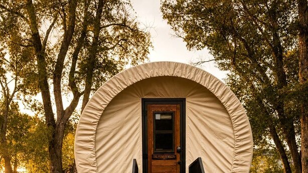 Una struttura esterna coperta con una porta in legno e una scala che vi conduce.