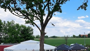 Ein Außenbereich mit Tischen und Stühlen, eine überdachte Terrasse und ein großer Baum.