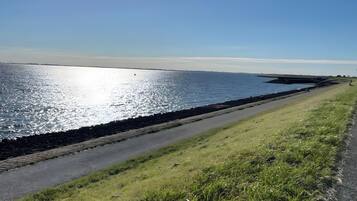 A coastal road with a grassy verge, a paved path, and a body of water reflecting sunlight.