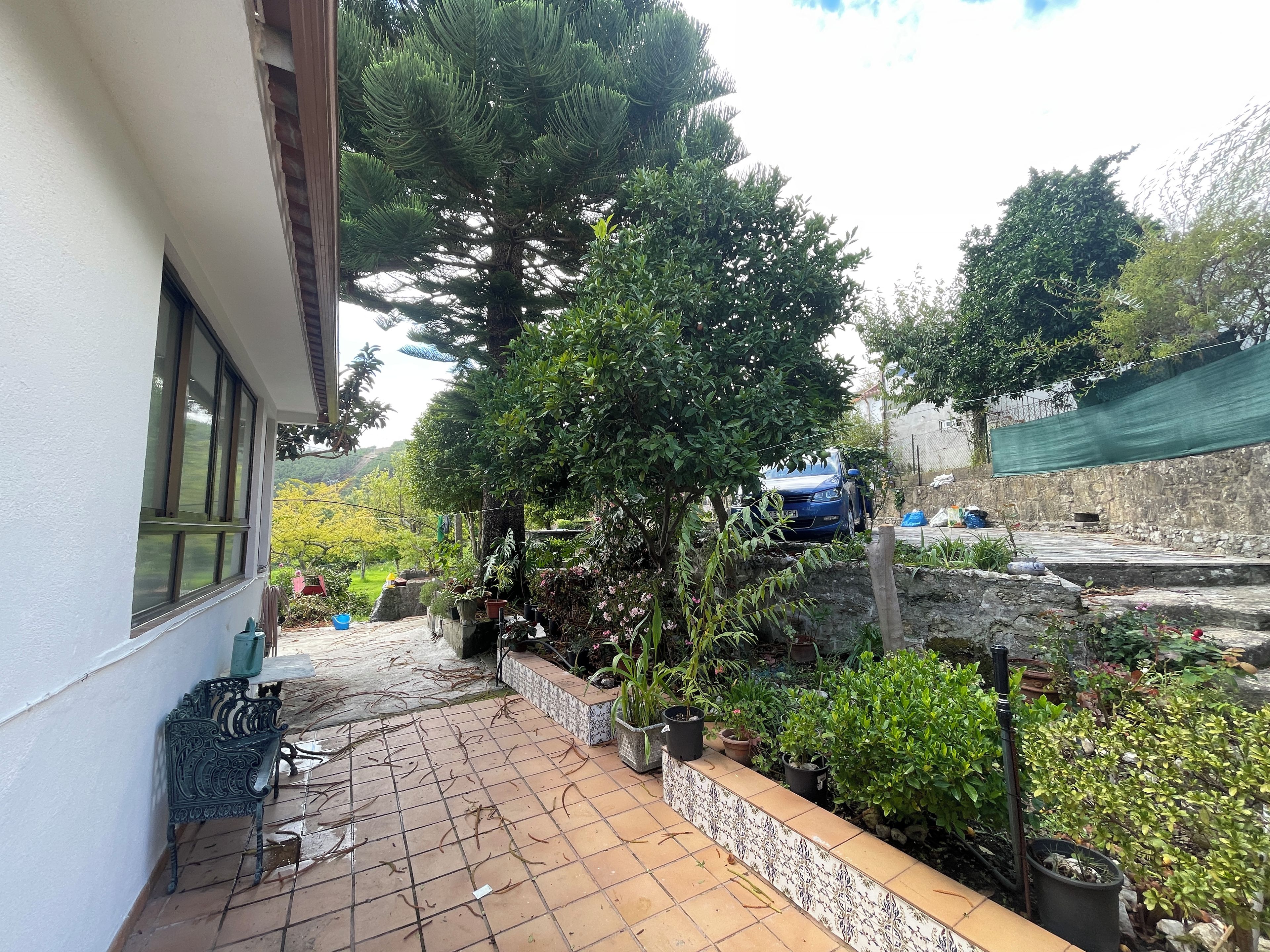 A courtyard with a tiled floor, potted plants, a blue car, and a stone wall.