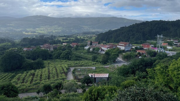 Ländliche Landschaft mit Häusern, einer Straße und einem Strommasten.