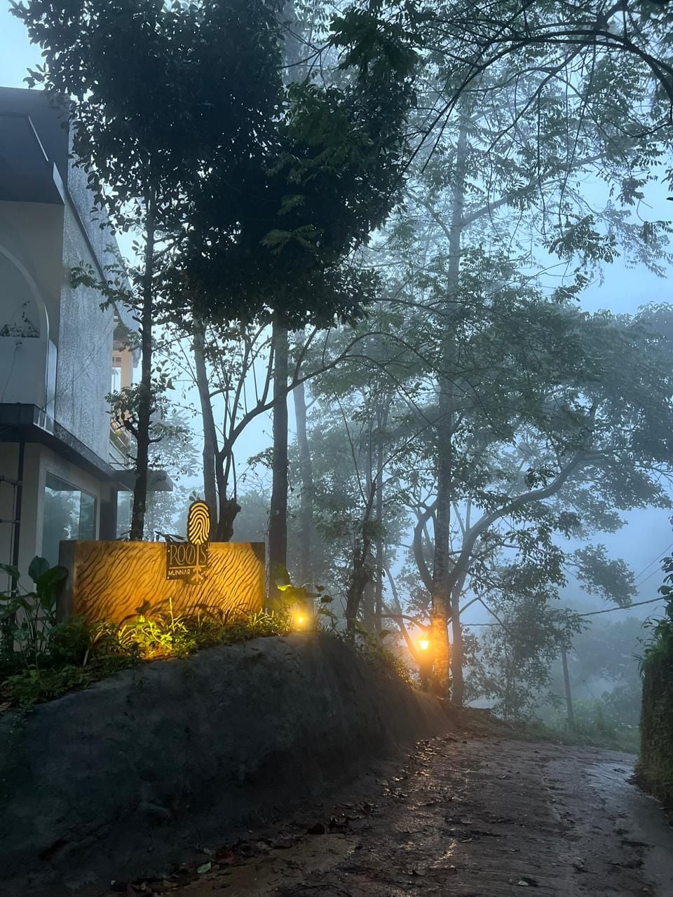 Un sendero conduce a un edificio con un letrero de madera, rodeado de árboles y una atmósfera brumosa.