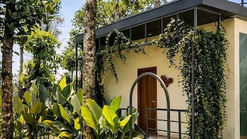 Un edificio moderno con puerta de madera, una escalera y una hamaca en un jardín.