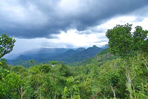 A mountainous landscape with dense greenery and a cloudy sky. - Roots Munnar (Anachal)