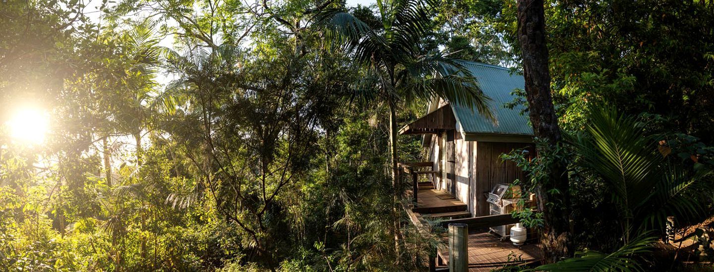 Eine Holzhütte mit Balkon, umgeben von dichtem tropischen Grün.