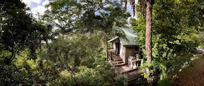 A wooden cabin with a metal roof, surrounded by dense foliage.