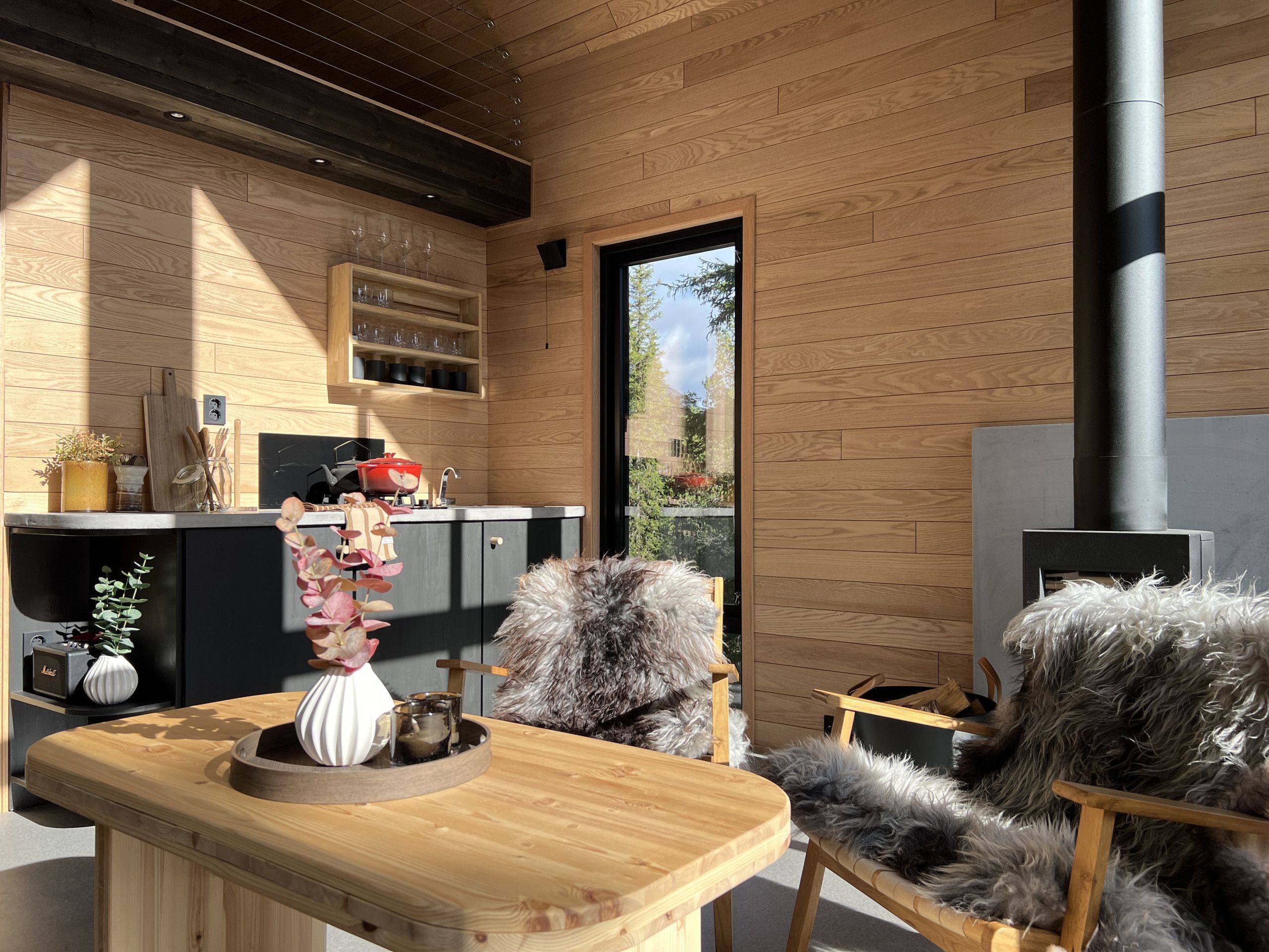 Un intérieur moderne avec un mur en bois, un coin cuisine, une table à manger agrémentée d’un vase et un chien au pelage duveteux.