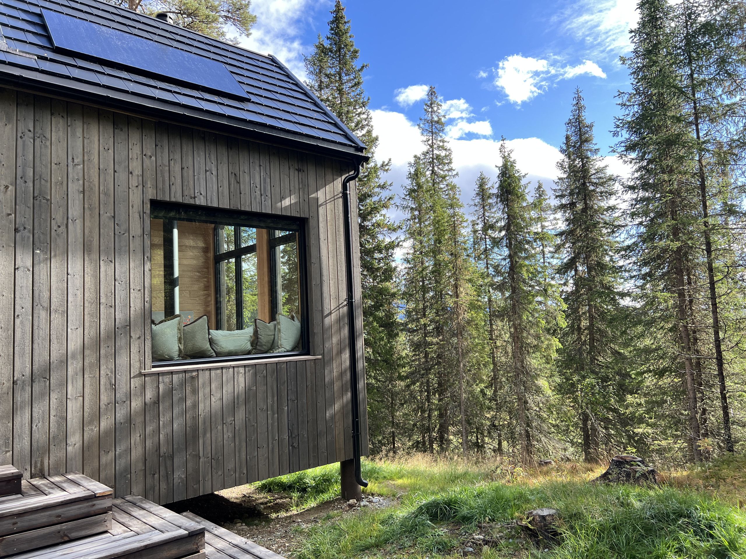 A wooden cabin with a window overlooking a forest.