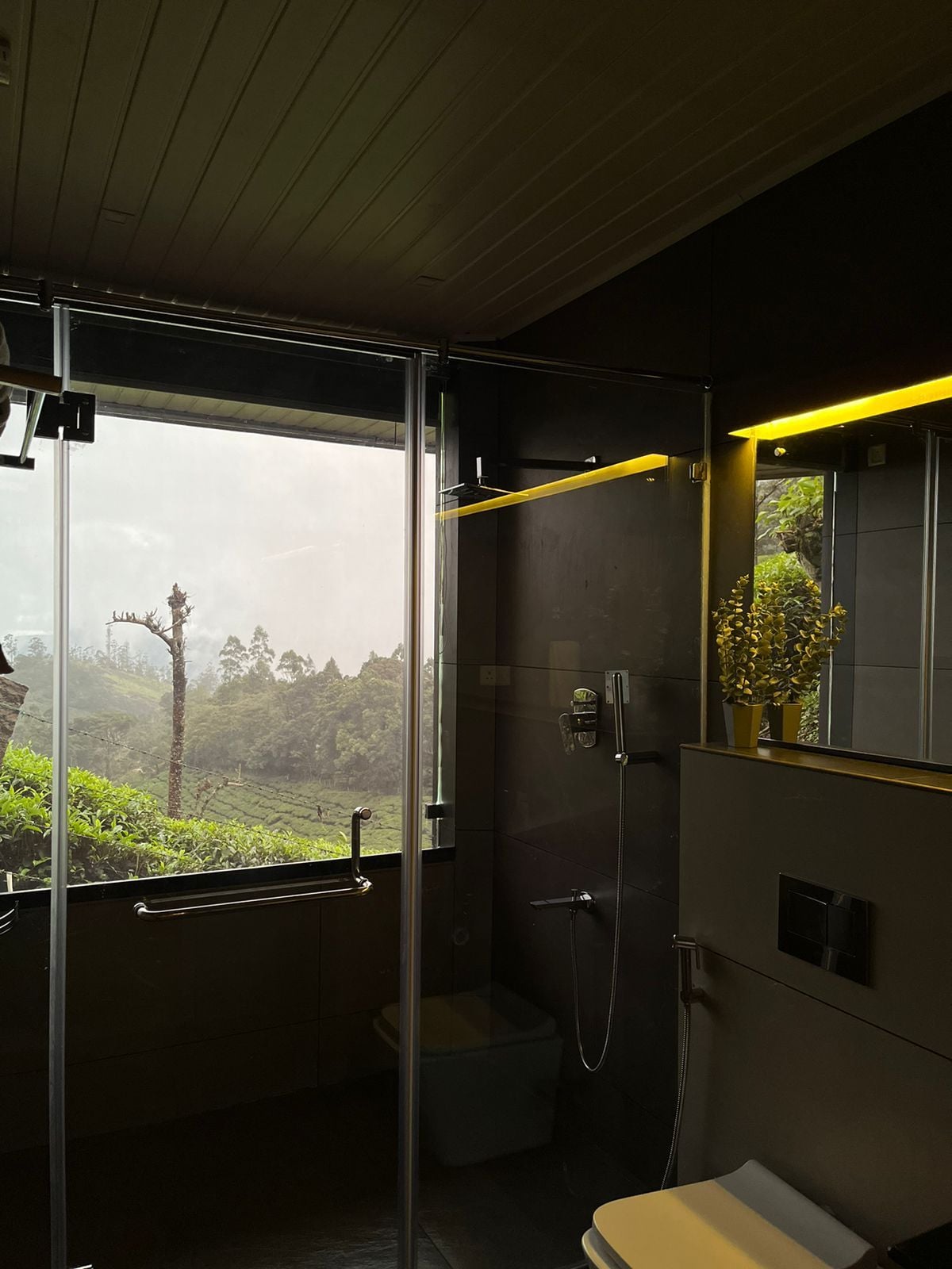 A modern bathroom with a glass shower enclosure, a toilet, and a sink.