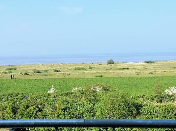 Eine Küstenlandschaft mit einem grasbewachsen Feld, vereinzelten Bäumen und dem Meer in der Ferne.
