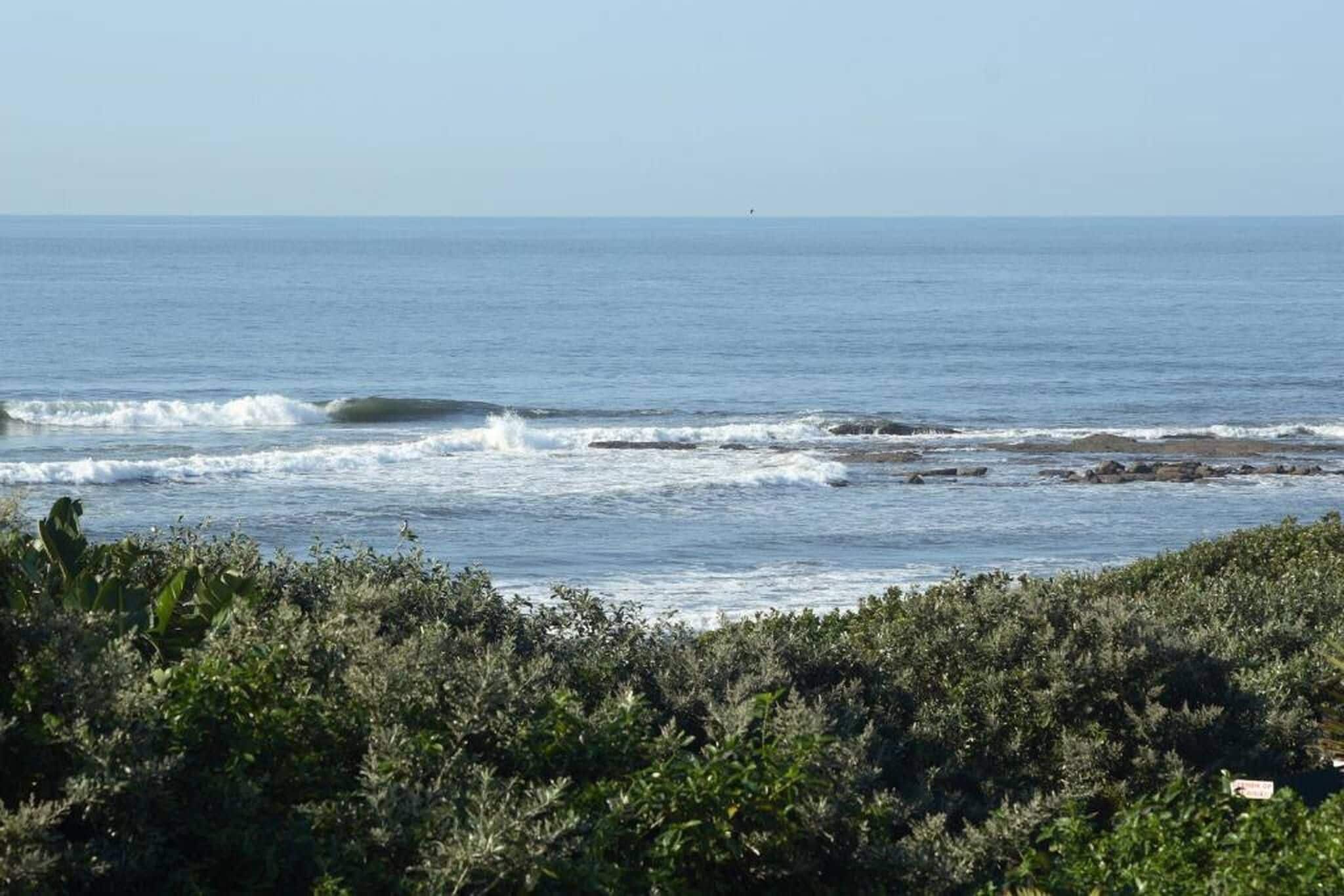 A coastal landscape with waves, a distant buoy, and dense vegetation.