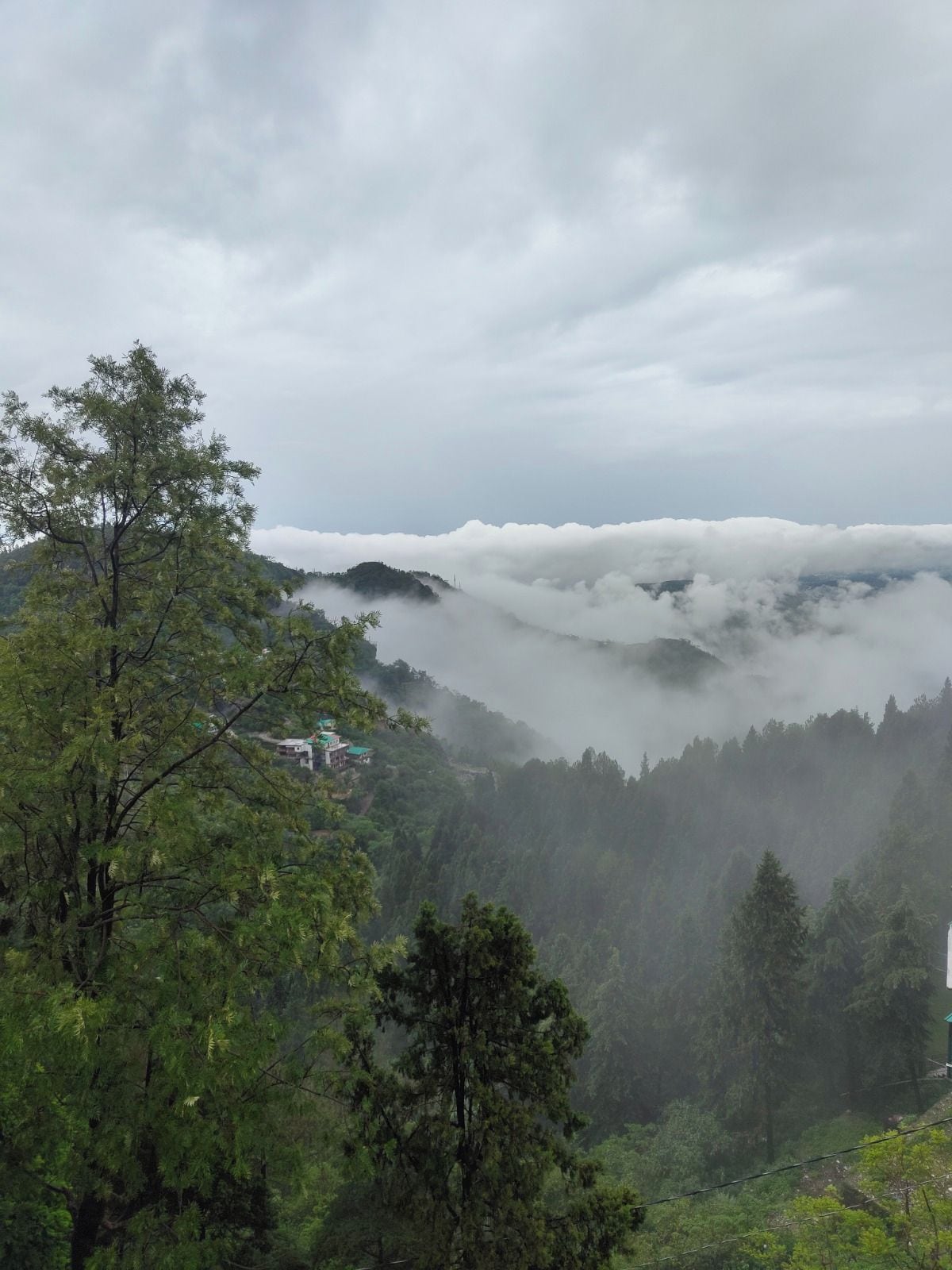 A mountainous landscape with a house nestled among trees, surrounded by clouds.