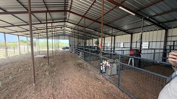 Una arena ecuestre techada con vallas metálicas, suelo de tierra y estructura de techo metálico.