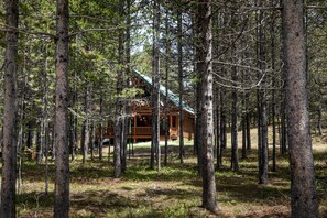 Eine Hütte, umgeben von hoch aufragenden Bäumen in einem Wald.