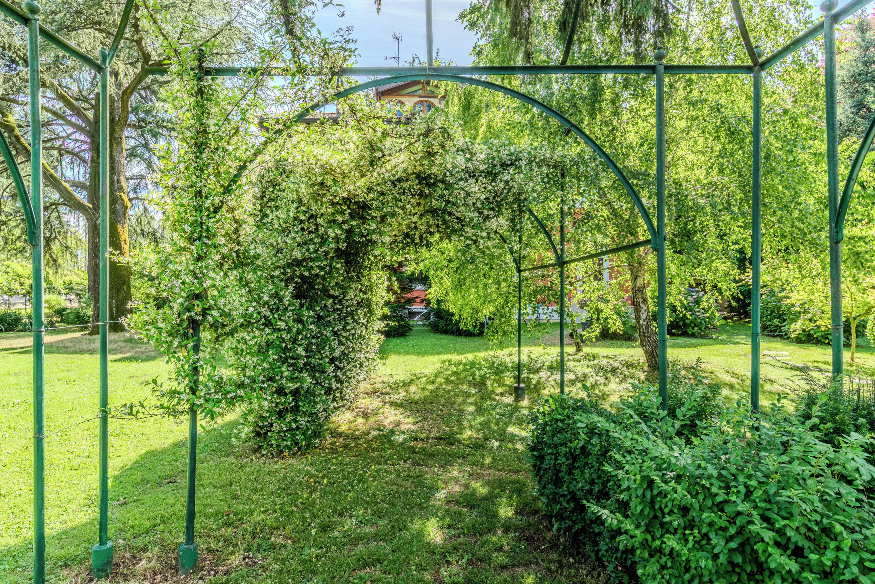 Um jardim com um arco de metal verde, cercado por vegetação exuberante e um gramado.