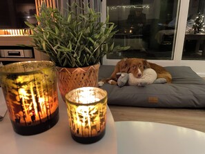 A cozy room with a dog resting on a grey cushion, a potted plant, and lit candles on a table. - Chalet Kwispel | Relaxation for you, adventure for your dog (Putten)