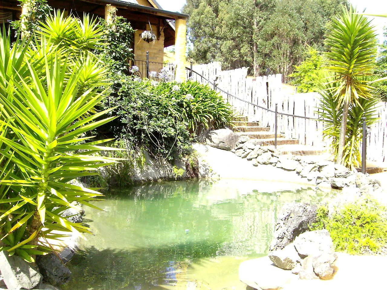 A garden with a pond, a wooden fence, and a building with a sloped roof.