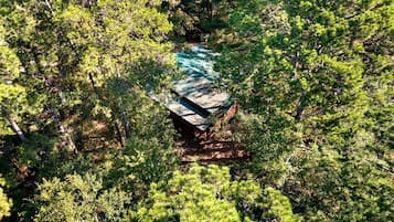 A building surrounded by dense green foliage.